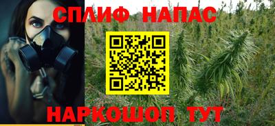 мдпв Обь